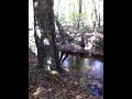 Water is moving today Video Water is moving today Video
