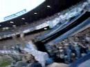 Geral do Grêmio - Pingos de Amor Geral do Grêmio - Pingos de Amor