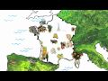 Le boeuf race normande Engagement Qualité Carrefour