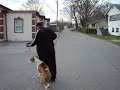 Basic Obedience.AVI