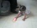 videos de PAO MONTA UN PONNY
