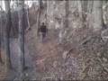 The Cave