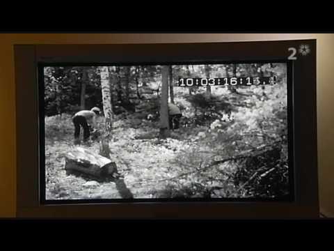 Vi som överlevde Rågsved (2/6)