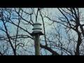 videos de Model 2 test