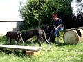 Click here to watch this video Chillen, Pansensticks für die Ladys und das schöne Wetter genießen :-)))