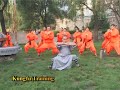 shaolin kungfu training