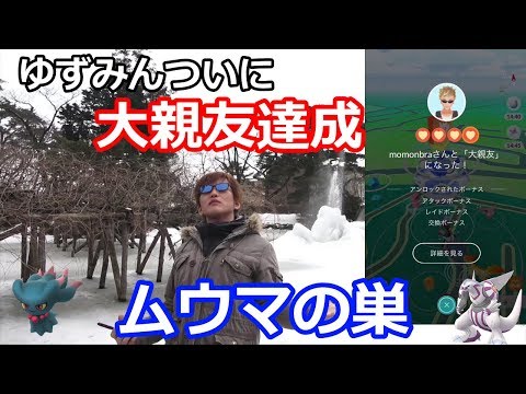 動画