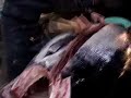 Tsukiji Fish Market PART II