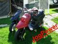 videos de Scoot-freaks.com