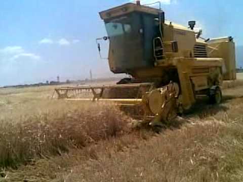سكس من سوريا
