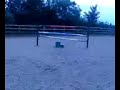 8 year old pony with a 14year old rider