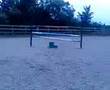 *FOR LOANNNN*me jumping 5ft (1.50m) on mi 148cm pony, troy