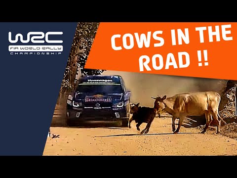 Latest WRC HD & Rally HD Videos