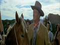 McLintock P.3