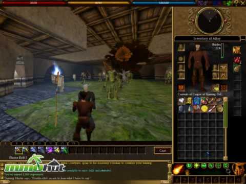 Asherons Call Screenshot 0