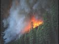 climate change/global warming/pollution