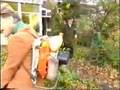 Keek op de Week 5 - 3van6 - Lekker Blowen