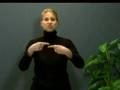 Early-Intervention-i