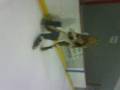 Blades of Glory II