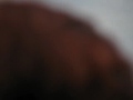 Ani