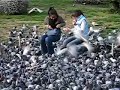 Barcelona pigeon attack