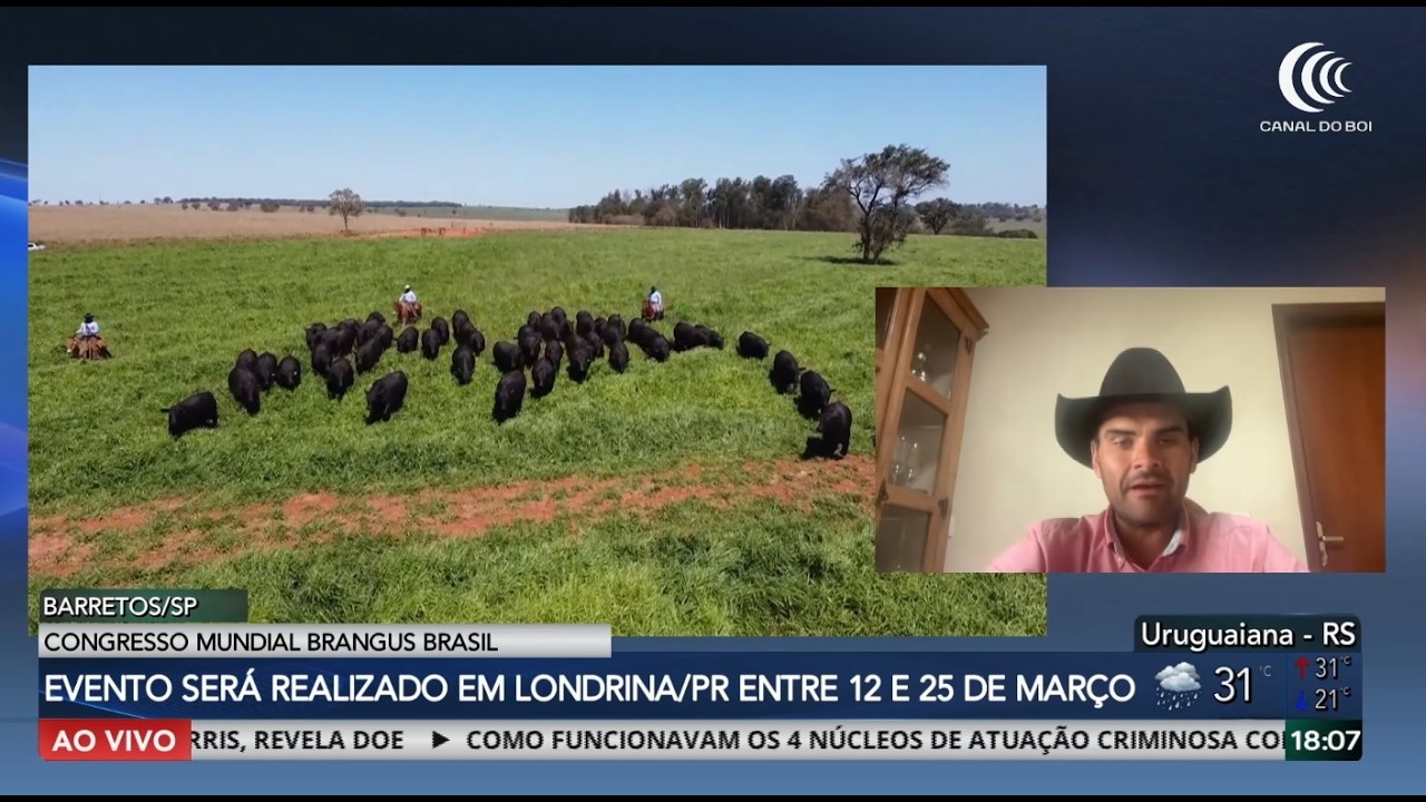 Congresso Mundial de Brangus reúne criadores de todo o Brasil em Londrina/PR