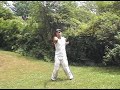 Wing Chun Forms Chum Kiu with Sui Lim Tao