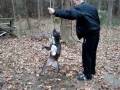 Dogbook Movie: peach on a rope