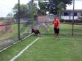 videos de o velhas perdida aliás cabra kkkk