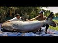 Paranormal World-Strange Creatures