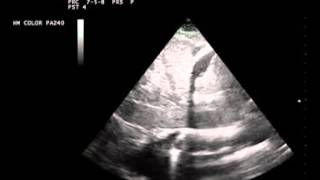Miguel Amor-10