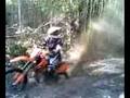 pauls ktm 250