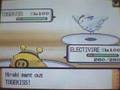 Pokemon Diamond WiFi Battle: Kawalski vs. Apfel