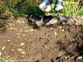 Wellies and white Nike tube socks vs deep mud 2