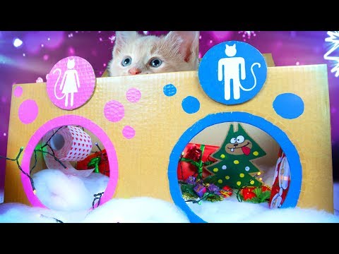 Decorating The Cat Toilet For Christmas