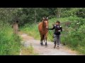 kandyse mcclure - Toro Woman photoshoot on a horse