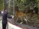 Nassim vs Leopard