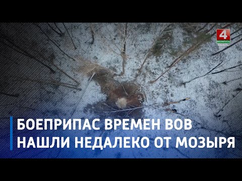 Под Мозырем местный житель гулял по лесу и наткнулся на 300-киллограмовый снаряд времён ВОВ видео