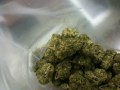 Cannabis Medicina nos Estados Unidos, Los Angeles