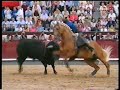 Cavalo