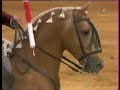 Cavalo