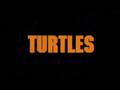 videos de ninjaturtles1_h640_ml.mov