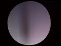 shadow-puppet-wonderful-world.html