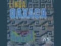 cancion mixteca-trio fantasia de jaime ramirez