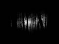 Insomnium - Devoid Of Caring