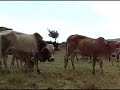 The Journey