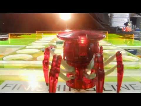 Original Hexbug Spider and Solar Hexbug Spider
