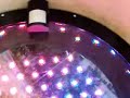 898: *OSC*LED*HEX*FTR*SPN*PRT*ONE*