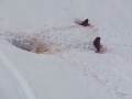 Click here to watch this video Tignes 2012 swistaki