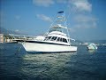 acapulco sport fishing pesca deportiva de marlin yate altair